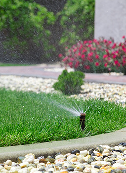 Irrigation